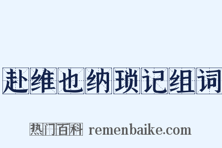 赴维也纳琐记组词是什么意思的图片